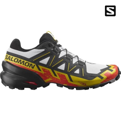 Multicolor Salomon Speedcross 6 Men's Trail Running Shoes | PH 57139C